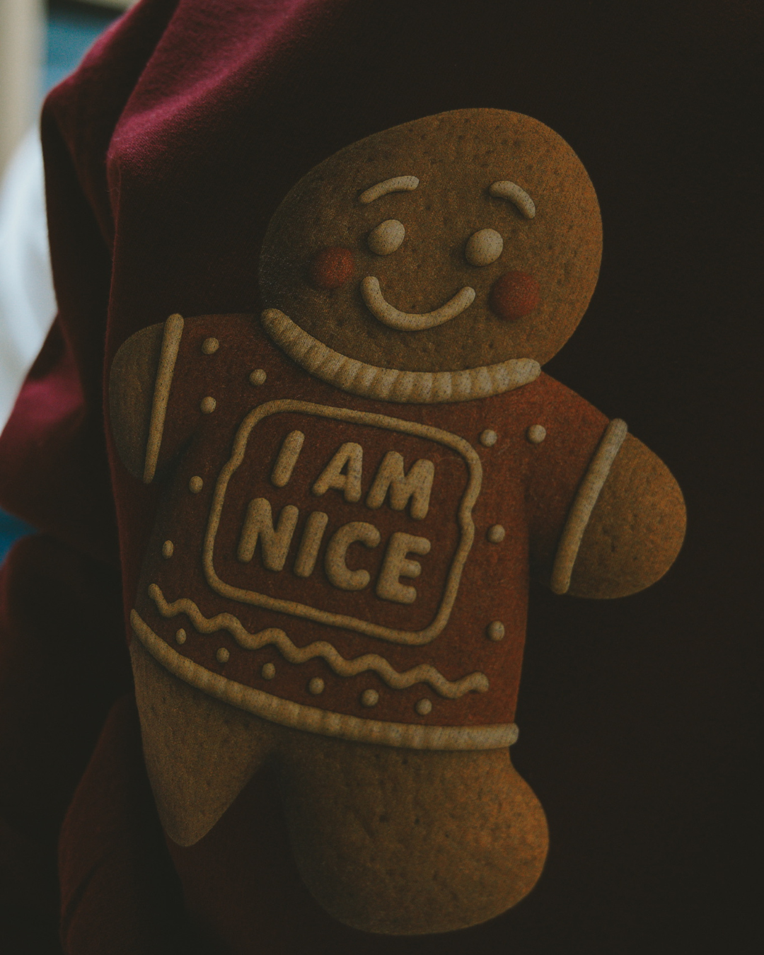Gingerbread ‘Jam’ Christmas Jumper (Adult)